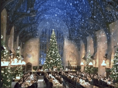 2023 12 28 - Little Hiccups Christmas Party - Magical Hogwarts Yule Ball