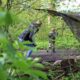 Exploring Nature and Creativity: Little Hiccups at Wild in the Woods Forest School