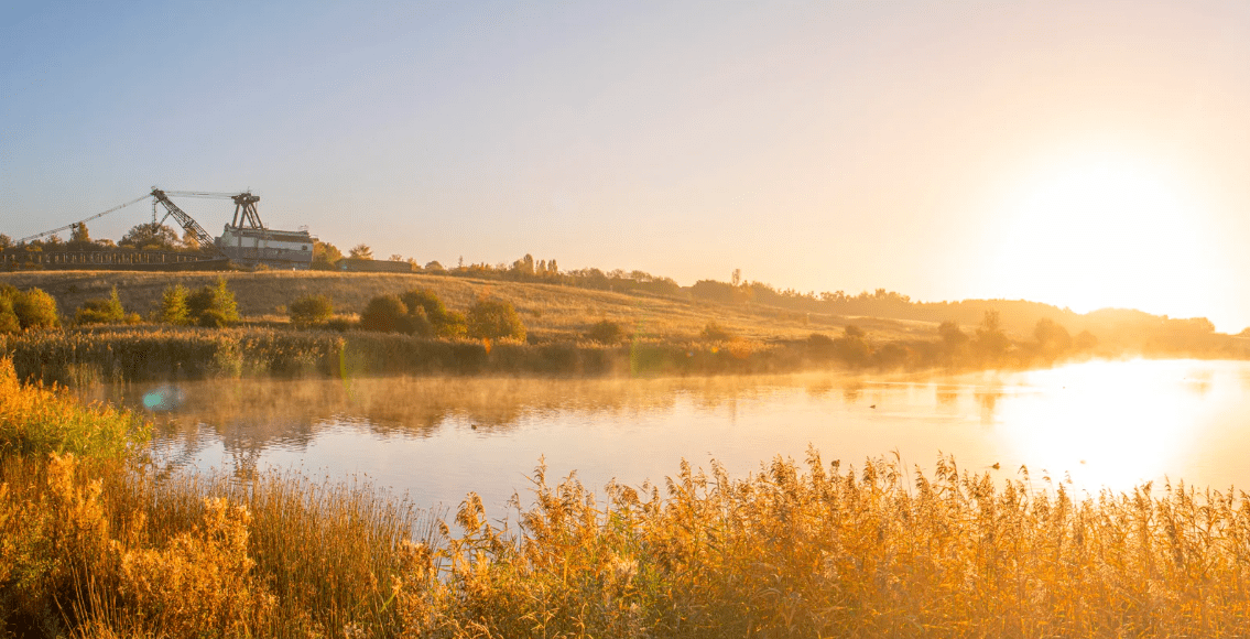 2025 07 29 Little Hiccups Summer Picnic & Mosaic Trail Meet-Up: RSPB St Aidan's