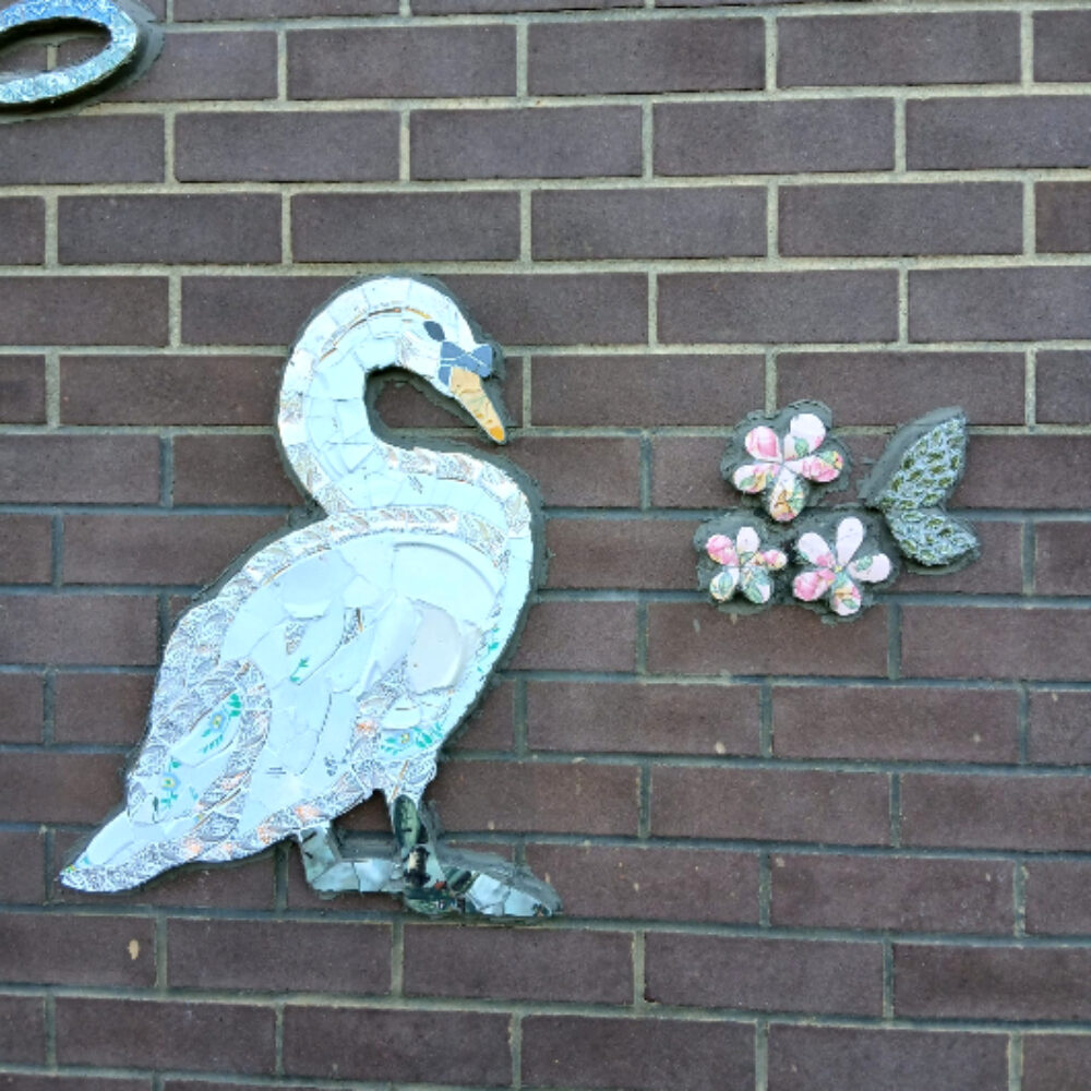 WhatsApp Image 2025-11-25 at 10.55.09