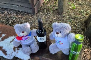 Wild Wellness in the Woods: A Relaxed Evening Outdoors