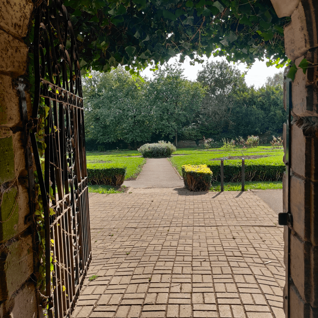 2025 08 19 Little Hiccups Summer Picnic & Mosaic Trail Meet-Up: Western Flatts Cliff Park