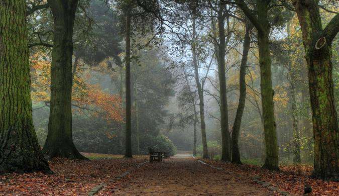 2025 08 06 Little Hiccups Summer Picnic & Mosaic Trail Meet-Up: Golden Acre