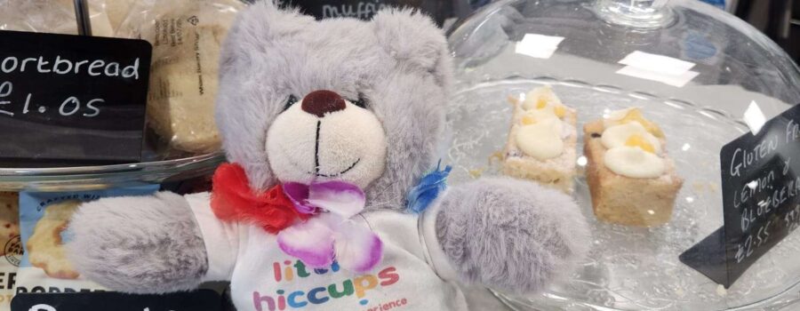 🐻 Hiccups Bear’s Big Adventure: Volunteering, Friendship & a Trip to Scotland!