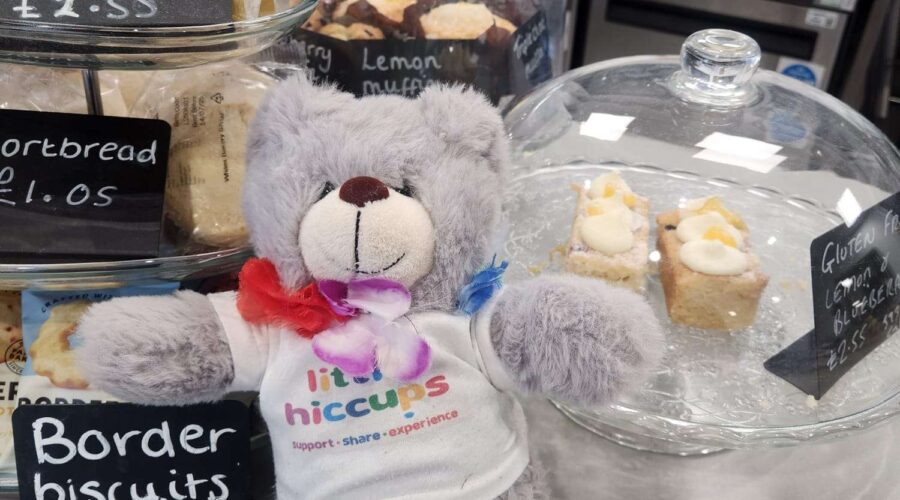 🐻 Hiccups Bear’s Big Adventure: Volunteering, Friendship & a Trip to Scotland!