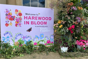 Community in Bloom: Seeing Our Flowers at Harewood House