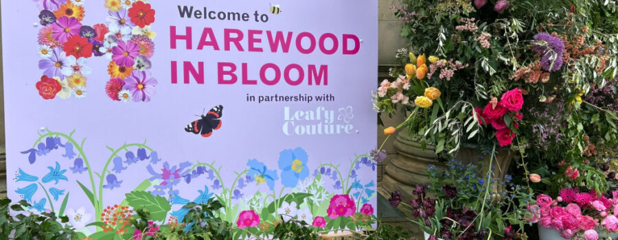 Community in Bloom: Seeing Our Flowers at Harewood House