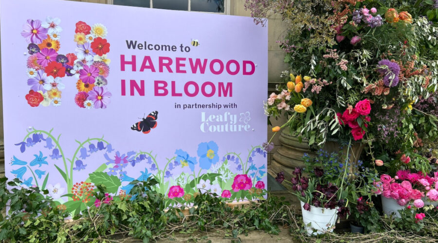 Community in Bloom: Seeing Our Flowers at Harewood House